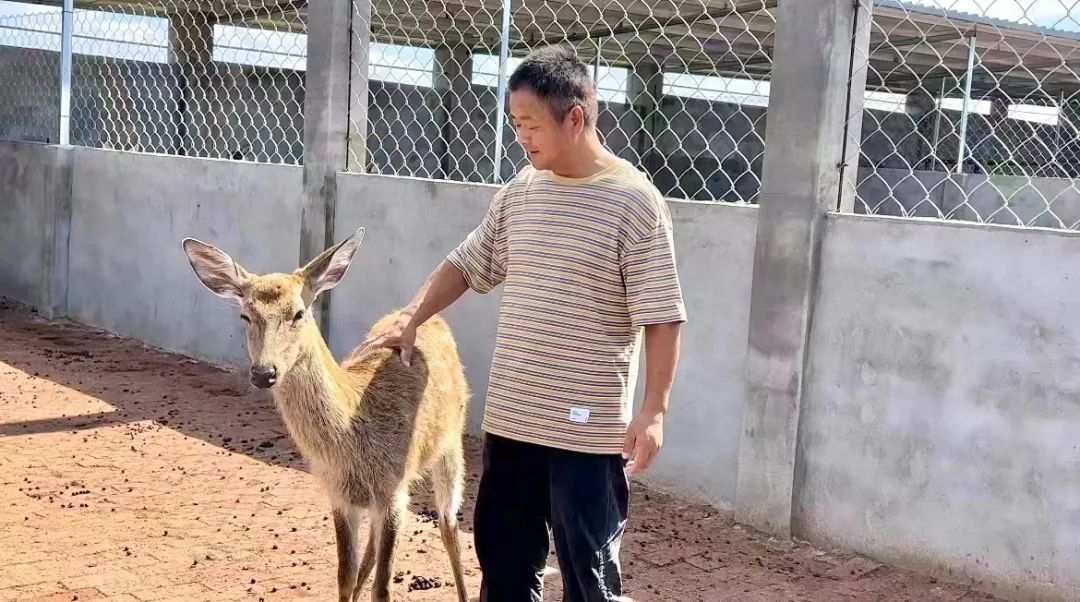 ag资源集团
